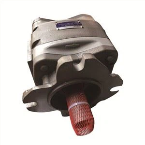 Dahili Dişli Pompası IPVS5-40-101 Hidrolik Pompa Yağı Pompası